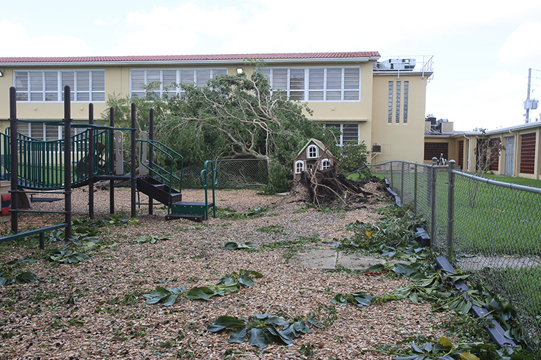 One of the playgrounds at St. Rose of Lima School in Miami Shores shows damage caused by a tree falling down during Hurricane Irma. Damage from the storm in the Archdiocese of Miami was mercifully good: a lot of tree damage, some flooding but most of the structures, including those in the hardest-hit Keys, held up very well.