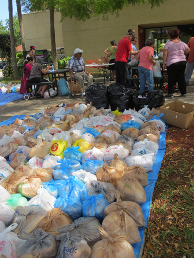 Hundreds of bags of bread are laid out on a blue tarp until they are distributed by St. Vincent de Paul volunteers to the community at Cutler Bay Meadows Glen in Miami. By the end of the day, not a single bag will be left behind.