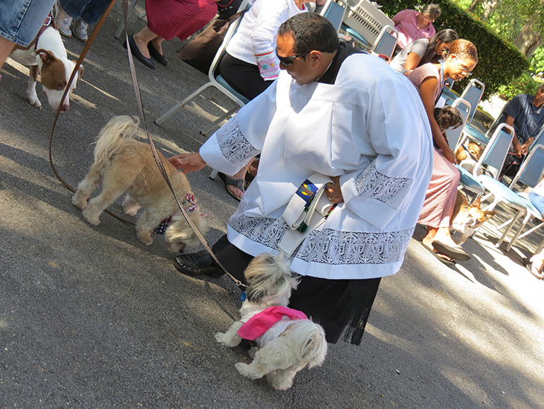 Father Wilfredo Contreras, St. Martha's pastor, pets some of his parishioners' furry friends before blessing them.