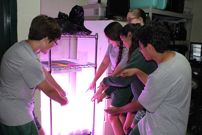 Oct. 28, 2015
MIAMI

What's that spooky glow? Beneath the purple LEDs, edible leafy vegetables have been growing for over four weeks. 

St. Kevin School students accepted the NASA Fairchild Challenge called Citizen Science: Growing Beyond Earth. Standing by their space garden (from left to right) are Ryan Yglesias, Christine Rubido, Amanda Varela, Bella Dieguez and Joel Cruz.