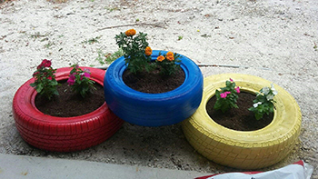 Getting even more creative, some of the students planted their flowers in old tires, making for a really colorful new garden.