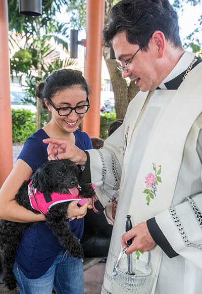 ADOM :: On feast of St. Francis, bless your pet