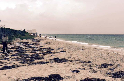 ADOM Desires Needs Ministry