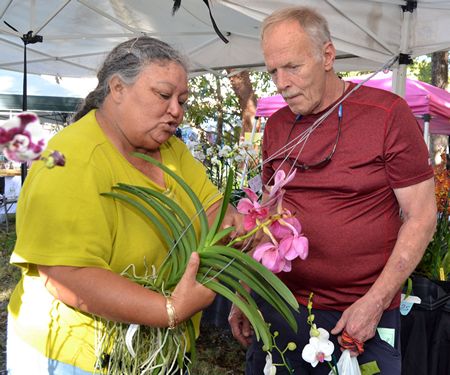 Juanita Contreras talks orchid care with John Erickson of Lower Matecumbe Key at the Art Under the Oaks Festival. It's the 12th festival at San Pedro Church for Contreras, a member at St. Ann Church.