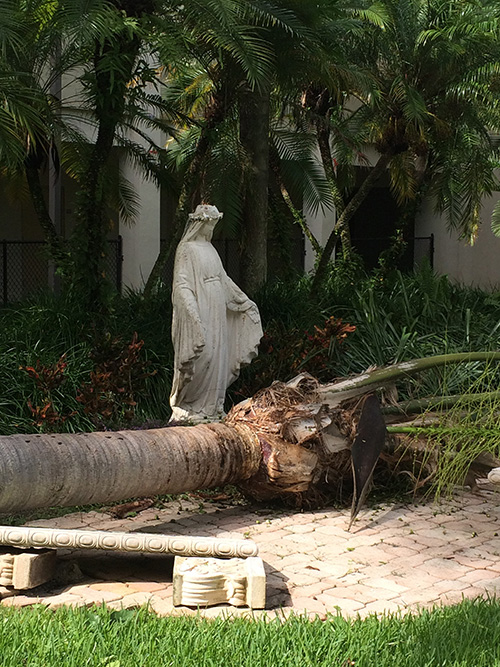 Father Alexander Rivera, parochial vicar at Epiphany Parish in South Miami, posted this picture on his Facebook page around midday Sept. 11. His caption: "Blessed Mother be like: 'What you got, Irma?' Giving thanks to God that the worst is behind us and now for the cleanup!"