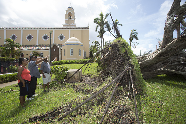 Los feligreses señalan un árbol arrancado de raíz en los terrenos de la Catedral St. Mary, de Miami, tras el paso del huracán Irma. Los daños ocurridos en la Arquidiócesis de Miami fueron,afortunadamente, moderados: muchos árboles afectados y algunas inundaciones, pero la mayoría de las estructuras —incluyendo las de los Cayos, que fueron azotados severamente por el huracán— resistieron muy bien.