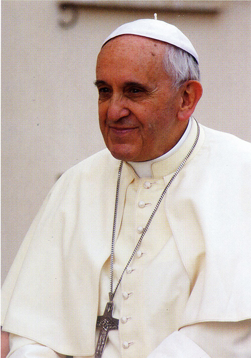 Foto del Papa Francisco tomada en el Vaticano, el 5 de agosto de 2014.