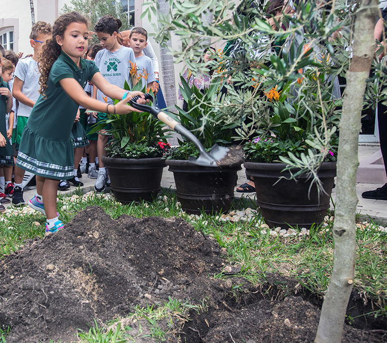 St. Patrick School first-grader Alessia Torres, 6, takes a turn shoveling dirt into the hole where the olive tree was planted Nov. 15.