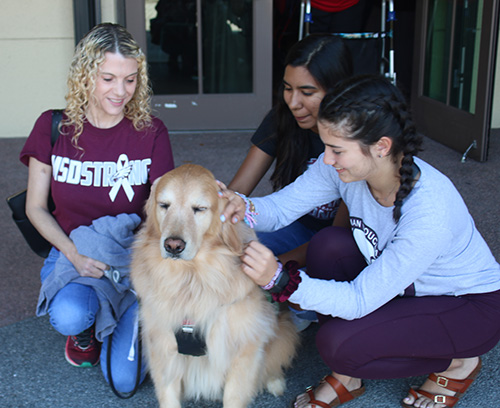 Holly Schneider, a la derecha, una parroquiana de Mary Help of Christians, asiste a una hora especial de oración por la sanación y la paz el 14 de febrero en su parroquia. Su perro de terapia, Hammer, también asistió y estuvo allí para brindar apoyo a cualquiera que lo necesitara. Valentina Zuniga, centro, y Camila Escobar, acarician a Hammer.