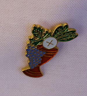 Boys wear pins featuring a chalice and host on the day they receive their first Communion at St. Anthony Church in Fort Lauderdale. The pins were given to them as gifts by the parish women's guild.