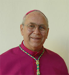 Mons. José Enrique Serpa Pérez, hasta ahora obispo de Pinar del Río, había presentado su renuncia, por edad, como establece el Derecho Canónico. Mons. Serpa ha sido obispo de Pinar del Río durante 12 años, desde su ordenación episcopal el 13 de enero de 2007.