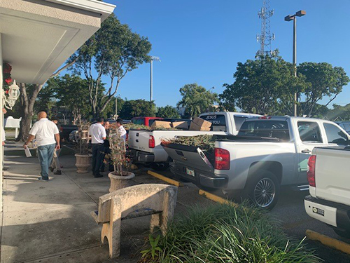 Members of Emmaus at Immaculate Conception Church in Hialeah load up the trucks with donated trees, ornaments and Nativity sets to deliver to needy families Dec. 14, 2019.