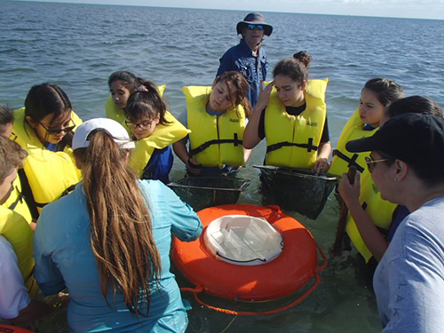 With the help of nature guides, Mother of Our Redeemer middle school students examine marine life through special viewers during their field trip to Marjory Stoneman Douglas Biscayne Nature Center in January.