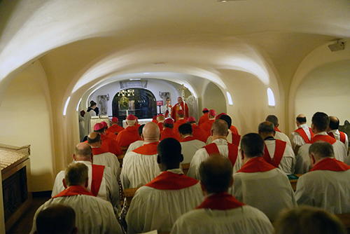 On Feb. 13, 2020, Archbishop Thomas Wenski was the main celebrant of the Mass at the tomb of St. Peter, in St. Peter's Basilica, along with the bishops and delegations from the other dioceses of Florida, Georgia, North and South Carolina.