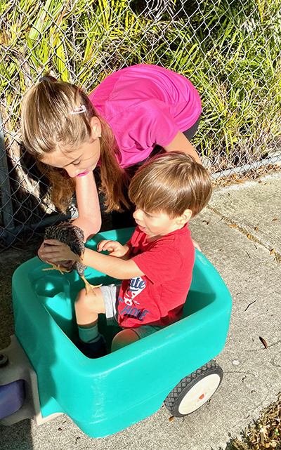 Anabel Amaro, 10, cares for her chickens and teaches Jorge, 2, to pet and hold them.