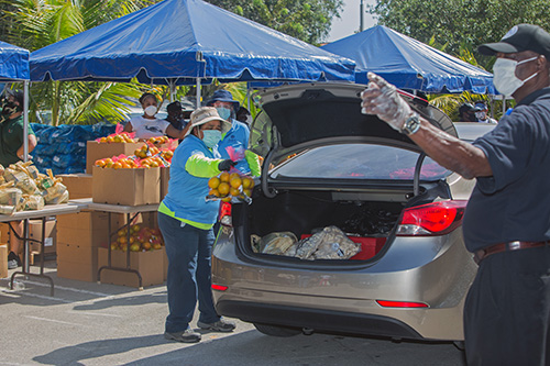 A volunteer tosses oranges into a car trunk during the food distribution hosted by Notre Dame d'Haiti Church in Miami April 23, 2020. The food, donated by Farm Share, helped residents of Little Haiti, many of whom have lost their jobs due to the coronavirus pandemic.
