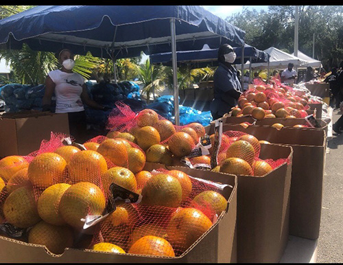 Boxes of oranges await distribution at the food giveaway on the grounds of Notre Dame d'Haiti Church April 23, 2020. The food, donated by Farm Share, helped residents of Little Haiti, many of whom have lost their jobs due to the coronavirus pandemic.