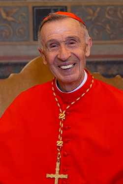 Cardinal Luis Ladaria Ferrer, prefect of the Congregation for the Doctrine of the Faith.