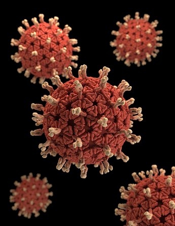 Imagen del coronavirus de los Centros para el Control de Enfermedades, tomada de unsplash.com.