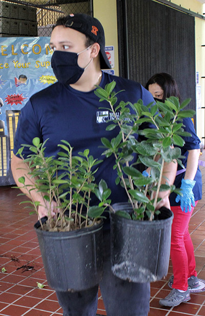 Adrian Fresnedo moves potted plants to the new garden at the back entrance of Catholic Charities of the Archdiocese of Miami's Notre Dame Child Development Center in Little Haiti, Nov. 5, 2020. He volunteered with others from Hancock, Askew and Co. for a day of service. They also planted a garden by the daycare's entrance.