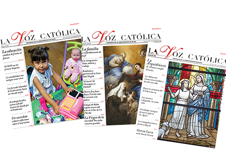 Spanish Newspaper of the Year: La Voz Católica, honorable mention: Rocío Granados, Emilio de Armas, Manolo Villaverde, Maritza Alvarez, Ana Rodriguez-Soto.