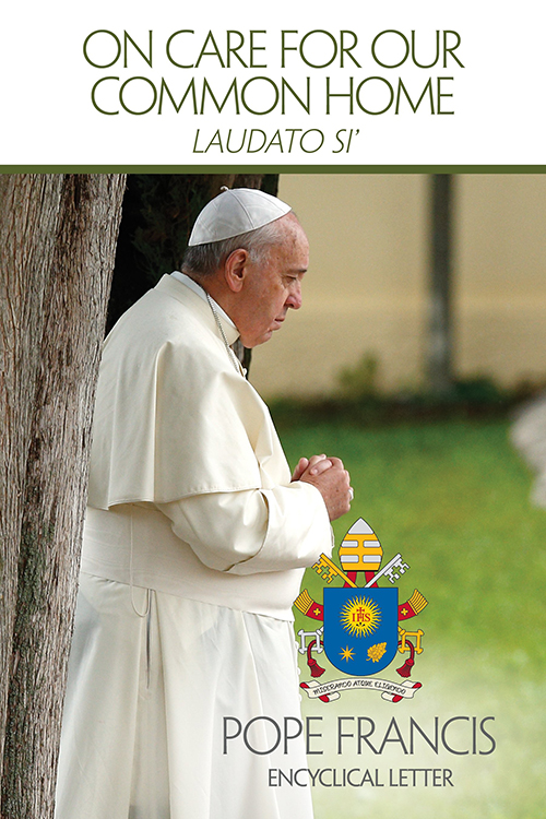 This is the cover of the English edition of Pope Francis' encyclical on the environment, "Laudato Si', on Care for Our Common Home."