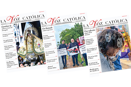 Spanish Newspaper of the Year: La Voz Católica, honorable mention: Emilio de Armas, Rocío Granados, Manolo Villaverde, Maritza Álvarez, and Priscilla Greear.