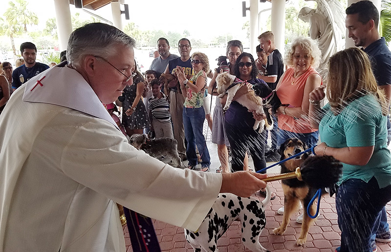 Father John Peloso blesses animals at St. Edward Parish in Pembroke Pines, where he served as pastor.
