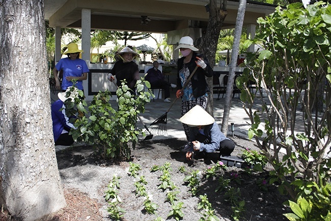 Vietnamese volunteers plant shrubs and flowers on the grounds of Our Lady of La Vang Mission in Hallandale Beach.