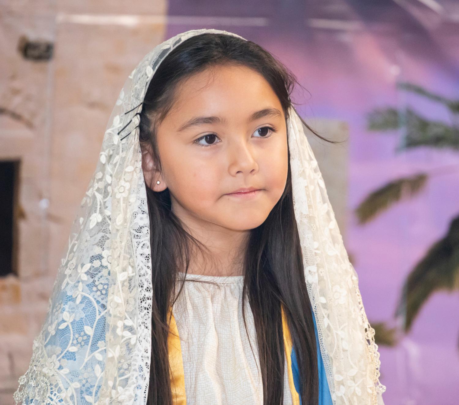 ADOM Two very different Nativity scenes at Gesu